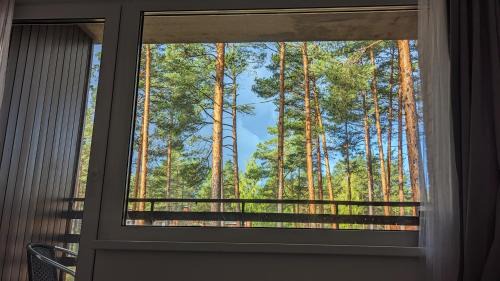 Gauja Apartment | Pine forest house 5