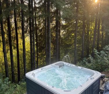 Zavoi Ski Chalet | Pine Hill 2
