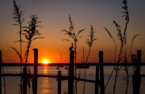 Green Cove Springs House | Pine Hill Point
