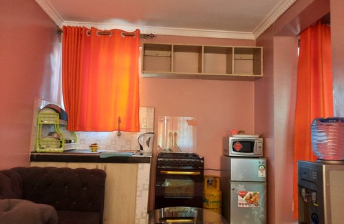 Kidono Apartment | Pine Residency Studio with views