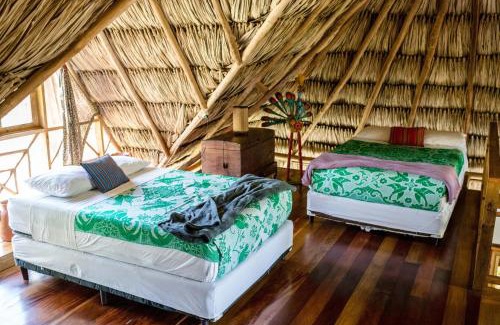 Mountain Pine Ridge Hotel | Pine Ridge Lodge