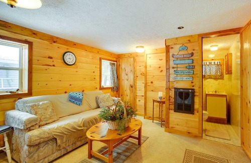 Interlochen House | Pine Ridge Resort Cabin on Bass Lake with Dock!