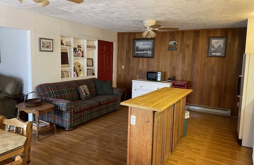 Lake City Cabin | Pine Street Getaway - Quiet Location Close to Town (Permit #Tlcr36)