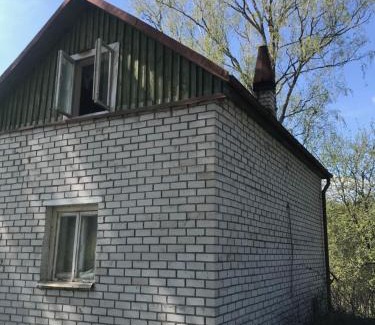 Kraslava Municipality House | Pine trees