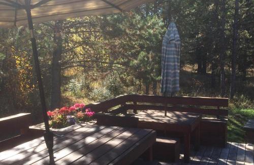 McCall House | Pinedale Cabin