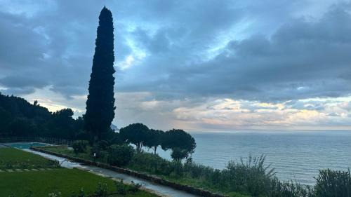 Pollina Apartment | Pini, a Paradise Oasis
