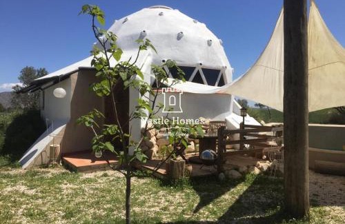Lorca Cabin | Pink Elephant