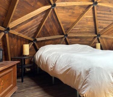 Lorca Cabin | Pink Elephant