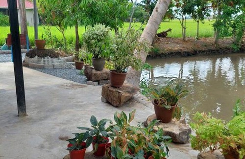 Kampung Sungai Berembang House | Pink Homestay D'Perlis