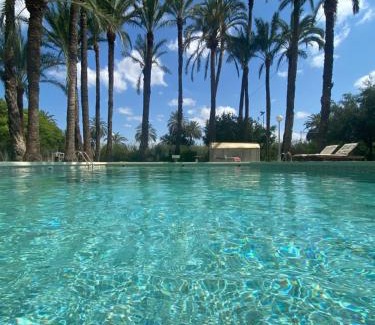 Elche Bed & Breakfast | Pink Lemon House