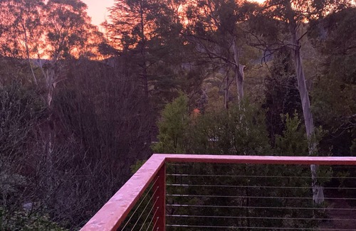 Sawmill Settlement House | Pinnacle Park -3.5 Acres of beautiful forest