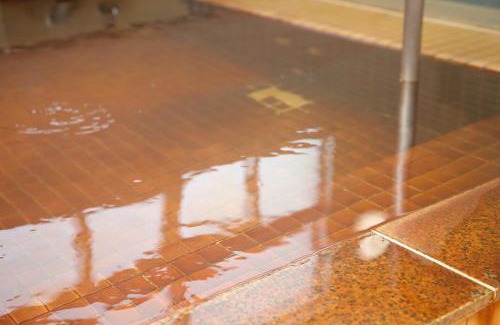 Nakatonbetsu Hotel | Pinneshiri onsen Hotel Bogakuso - Vacation STAY 31617v