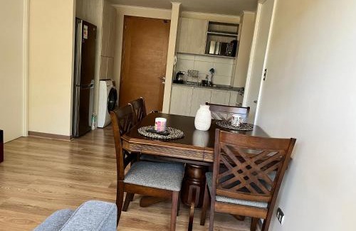 Valdivia Apartment | Pinto la torre