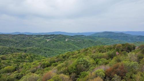 Beech Mountain House | Pipers Paradise