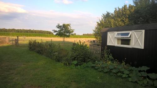 Onstwedde Bed & Breakfast | Pipowagen Lidewei Groningen Westerwolde unieke ligging met eigen tuin en vrij uitzicht over veld naar natuurgebied