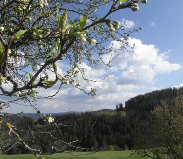 Sankt Kathrein am Hauenstein House | Pircherhof - Urlaub und Erholung im Troadkost'n