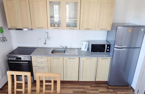 Shiligarnika Apartment | Pirin Heights VIP Apartment 200m from SKI SLOPE