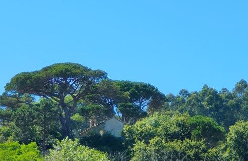 Cangas Apartment | Piso Piedra Alta