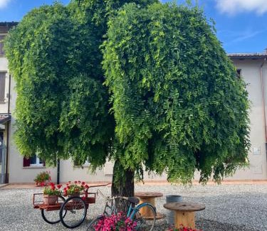 Torrile House | Pitaciò Affittacamere
