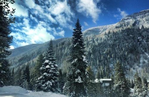 Vail Apartment | Pitkin Creek Park 7