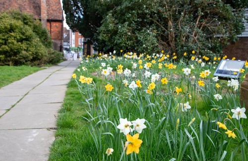 Tenterden Cottage | Pittlesden Cottage – Ideal Location - Tenterden