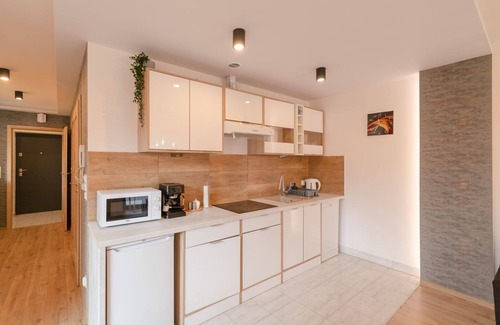 Szczyrk Apartment | Plażowa 6 | Stylish Apartment | Parking