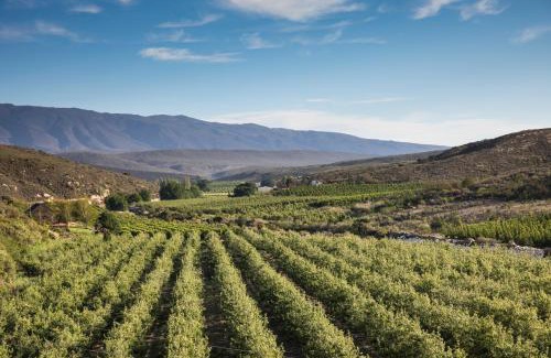 Barrydale House | Plaas Wegbreek