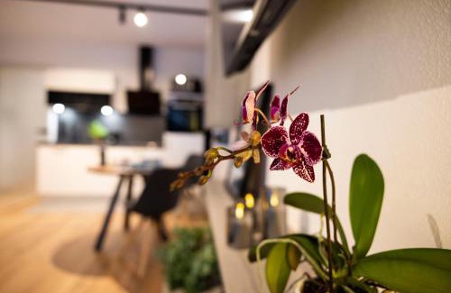 Faistenau Apartment | place2be - with infinity pool