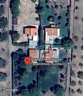 Dhikella Apartment | Plane Tree House