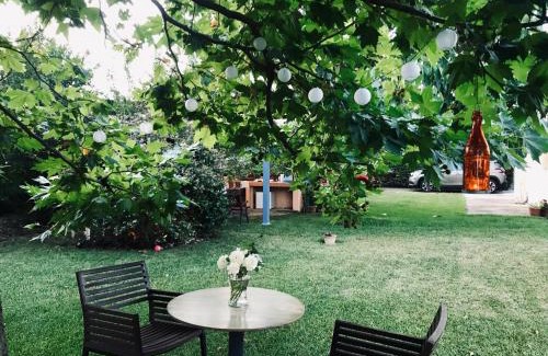 Dhikella Apartment | Plane Tree House