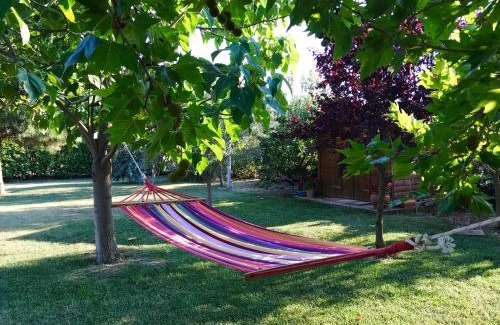 Dhikella Apartment | Plane Tree House