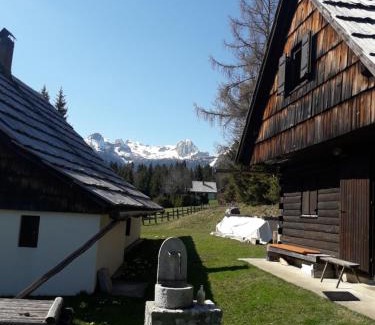 Studor House | Planinska hišica pod macesni - Bohinj