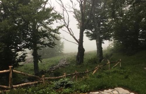 Senj Ski Chalet | Planinska kuća na Velebitu, s pogledom na more