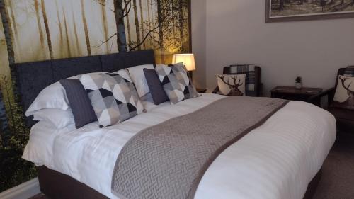 Beddgelert House | Plas Tan y Graig B&B Guest House Beddgelert