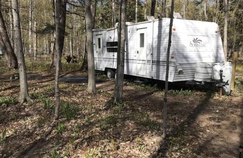 Beulah Apartment | Platte-Camper in Woods w/FirePit & Hot Tub Access