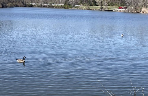 Carbondale RV Rental | PLAY PORT MARINA. Eclipse Hot Spot. Lake front campsite. North Lot parking