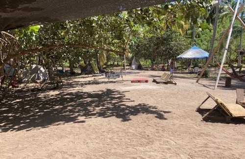 Palomino Other | Playa Colombia