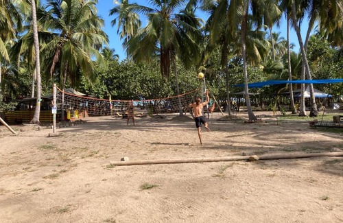Palomino Other | Playa Colombia