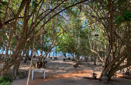 Palomino House | Playa María Pasadía