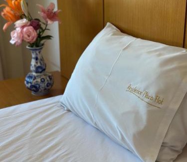 Ribeirao Preto Apartment | Plaza Flat