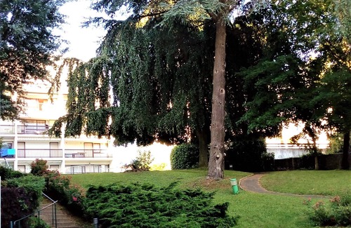 Touques Apartment | Pleasant 2-room apartment in residence with swimming pool