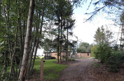 Dalerveen House | Pleasant holiday home in Dalerveen with garden