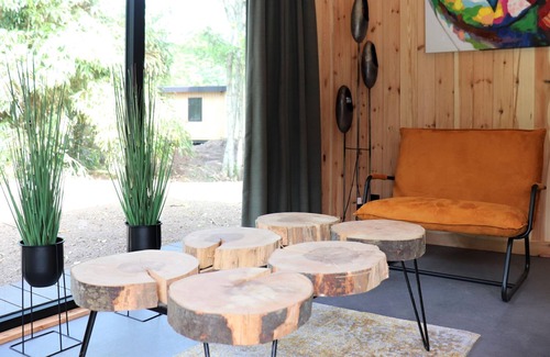 Dalerveen House | Pleasant holiday home in Dalerveen with garden
