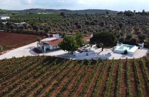Borba Cottage | Pleno Alentejo Rodeado de Vinhas e Junto as Cidades de Borba, Vila Viçosa e Estr
