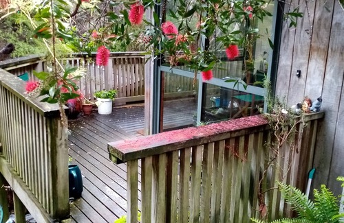 Plimmerton House | Plimmerton Tree Top house (one of two on hillside) - surrounded in manuka forest