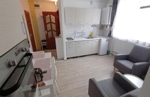 Deva Apartment | Plopilor - Studio 2nd Floor