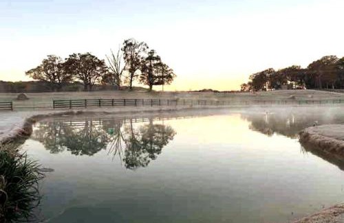 Banks County House | Plover Ponds Retreat - Lake view vacation home