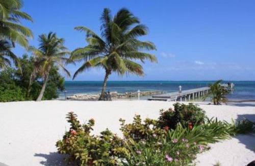 San Pedro Apartment | Plumeria @ Caribe Island