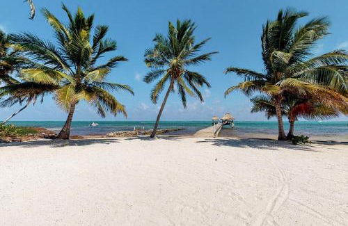 San Pedro Apartment | Plumeria @ Caribe Island