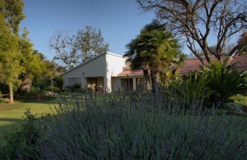 Polokwane Bed & Breakfast | Plumtree Lodge